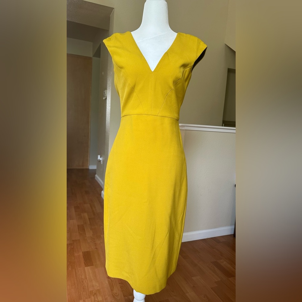 Zara Mustard Dress